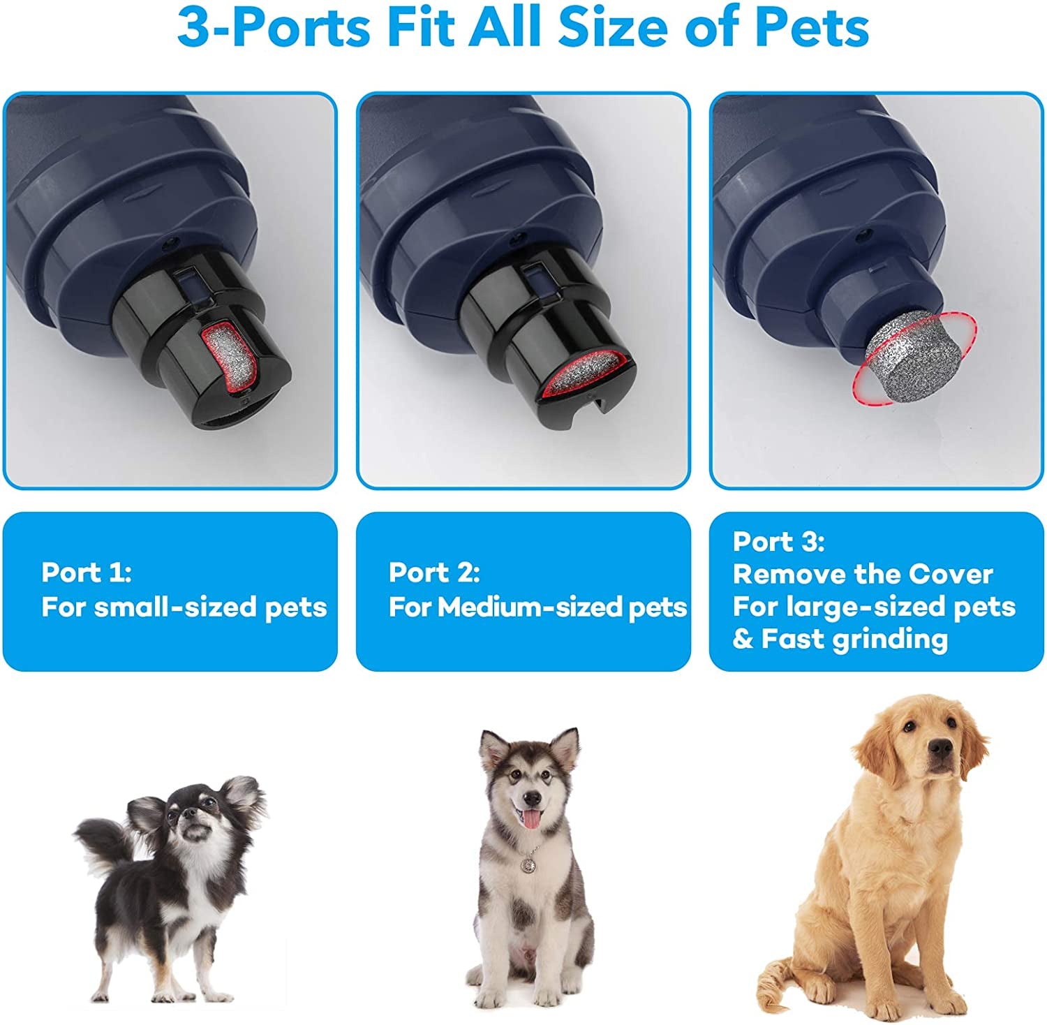 Dog Nail Grinder with Dual LED Light – Quiet 2-Speed Rechargeable Trimmer