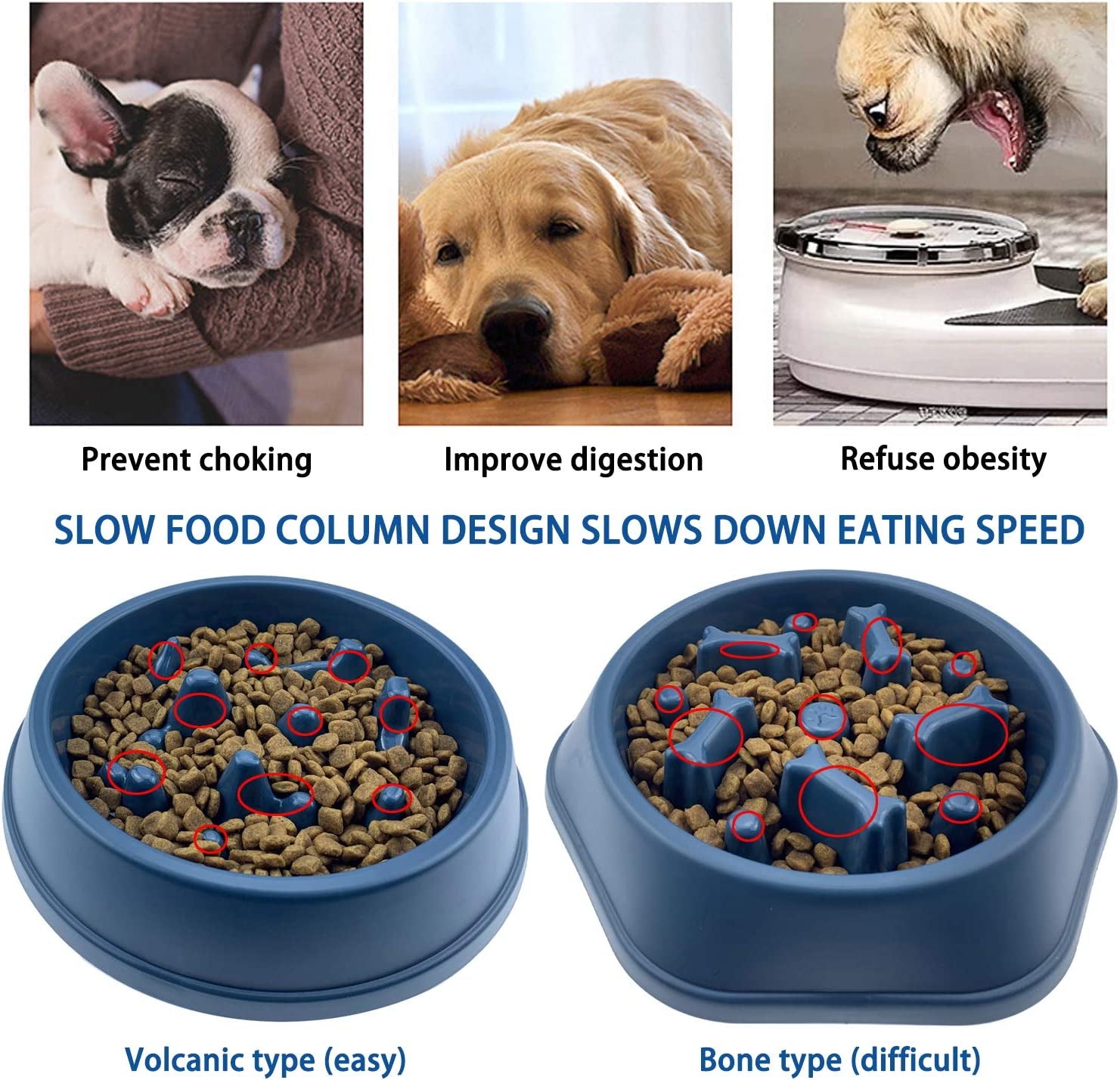 Slow Feeder Dog Bowl for Small & Medium Dogs – Non-Slip Anti-Gulping Maze