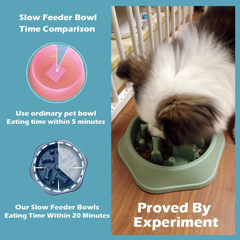 Slow Feeder Dog Bowl for Small & Medium Dogs – Non-Slip Anti-Gulping Maze