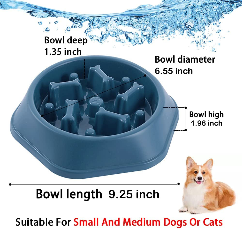 Slow Feeder Dog Bowl for Small & Medium Dogs – Non-Slip Anti-Gulping Maze