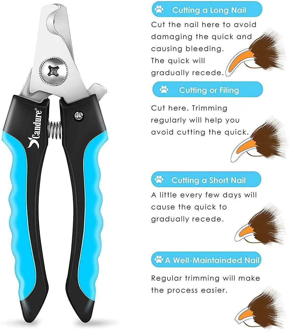 Dog Nail Clippers with Safety Guard – Candure Trimmer & File for Large Pets
