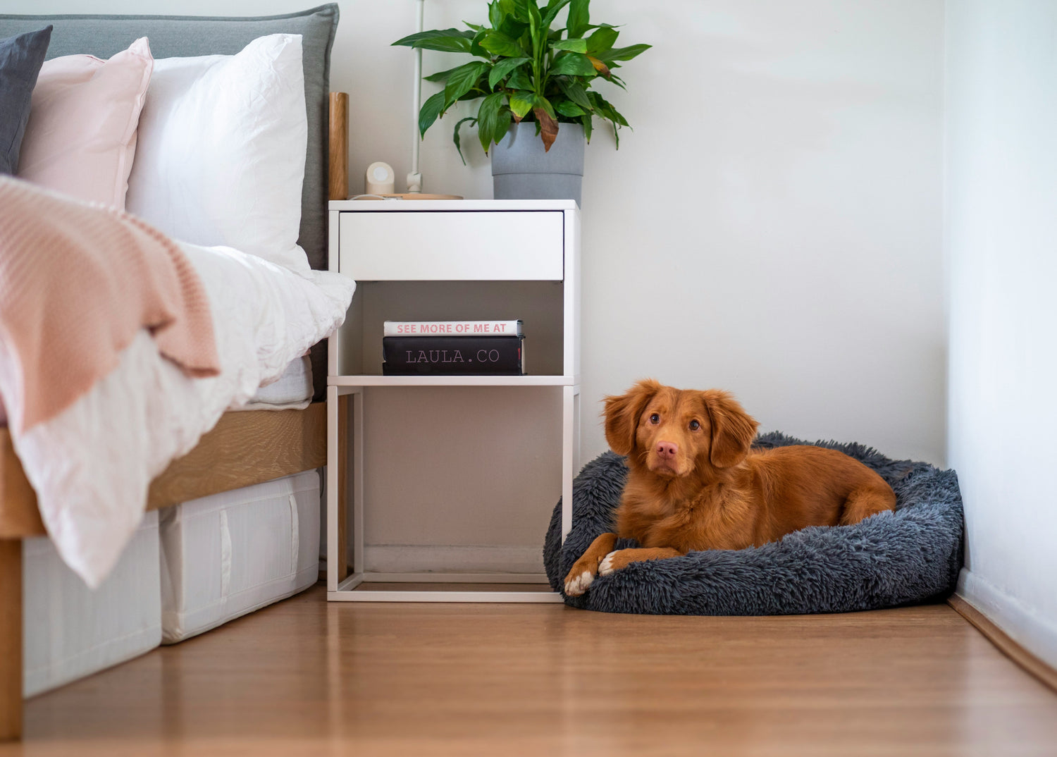 Beds & Comfort