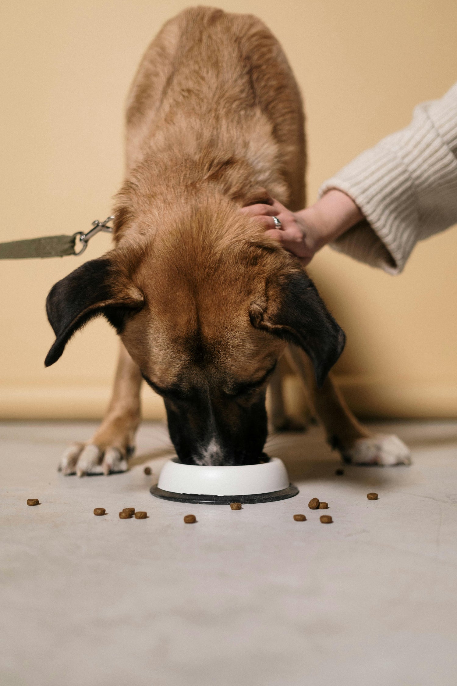 Feeding & Hydration